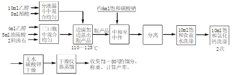 实验流程图